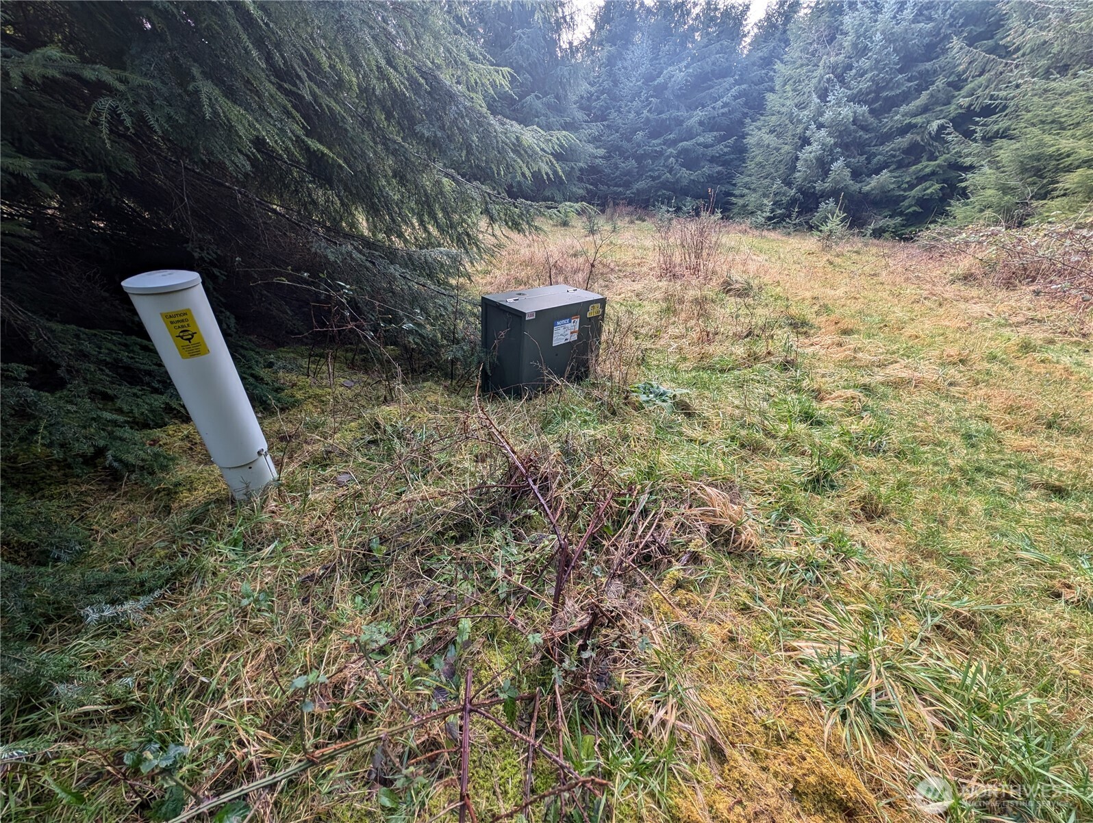 999 Green Road Forks, WA 98331 - Photo 21 of 40