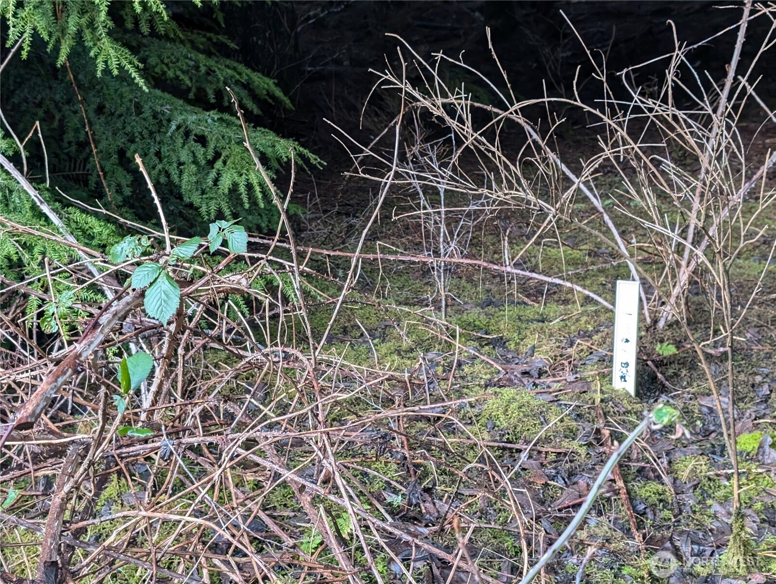 999 Green Road Forks, WA 98331 - Photo 22 of 40