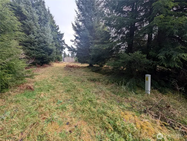 $265,000 | 999 Green Road, Forks, WA 98331