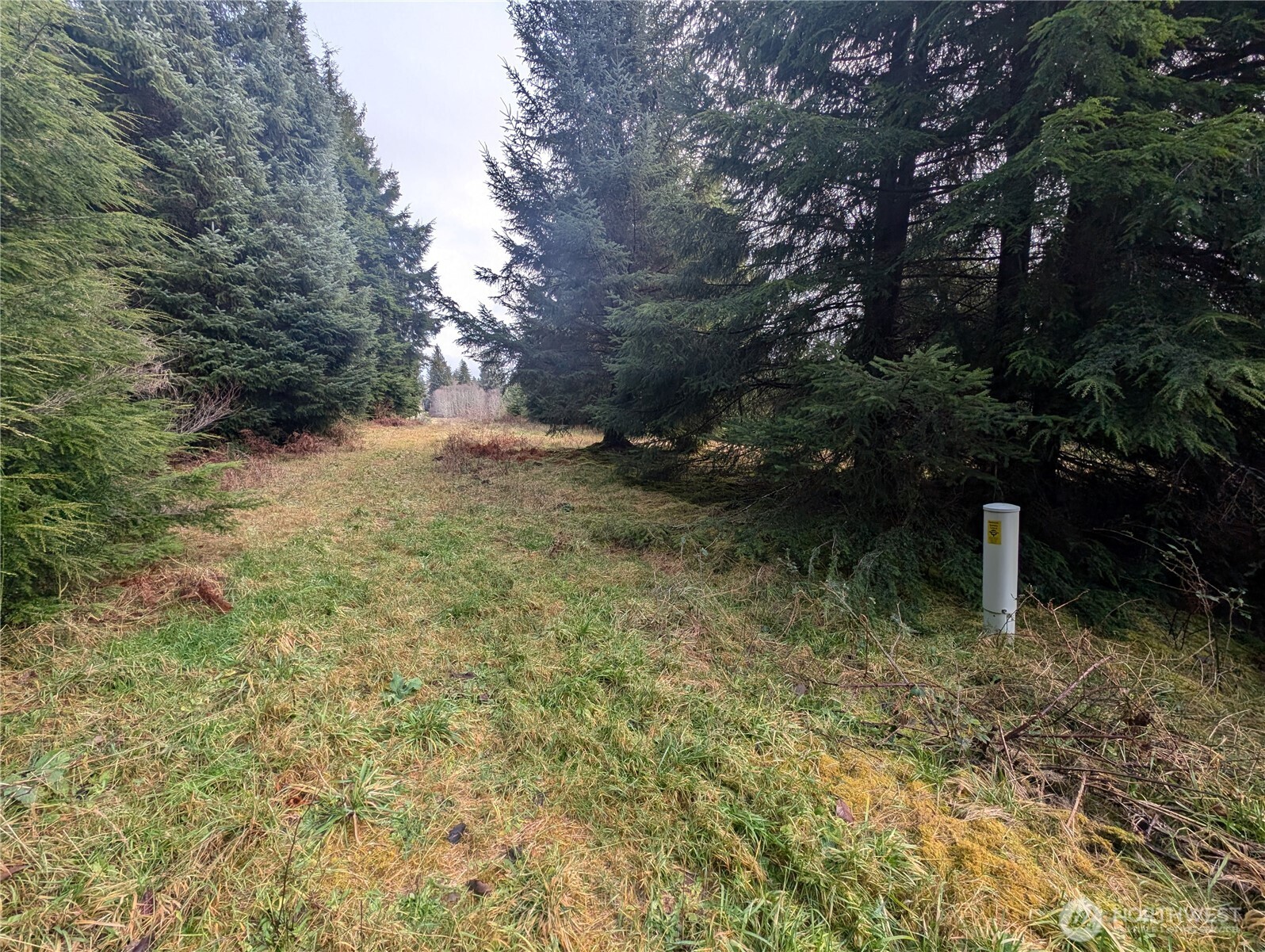 999 Green Road Forks, WA 98331 - Photo 23 of 40