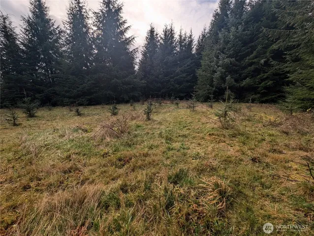 $265,000 | 999 Green Road, Forks, WA 98331