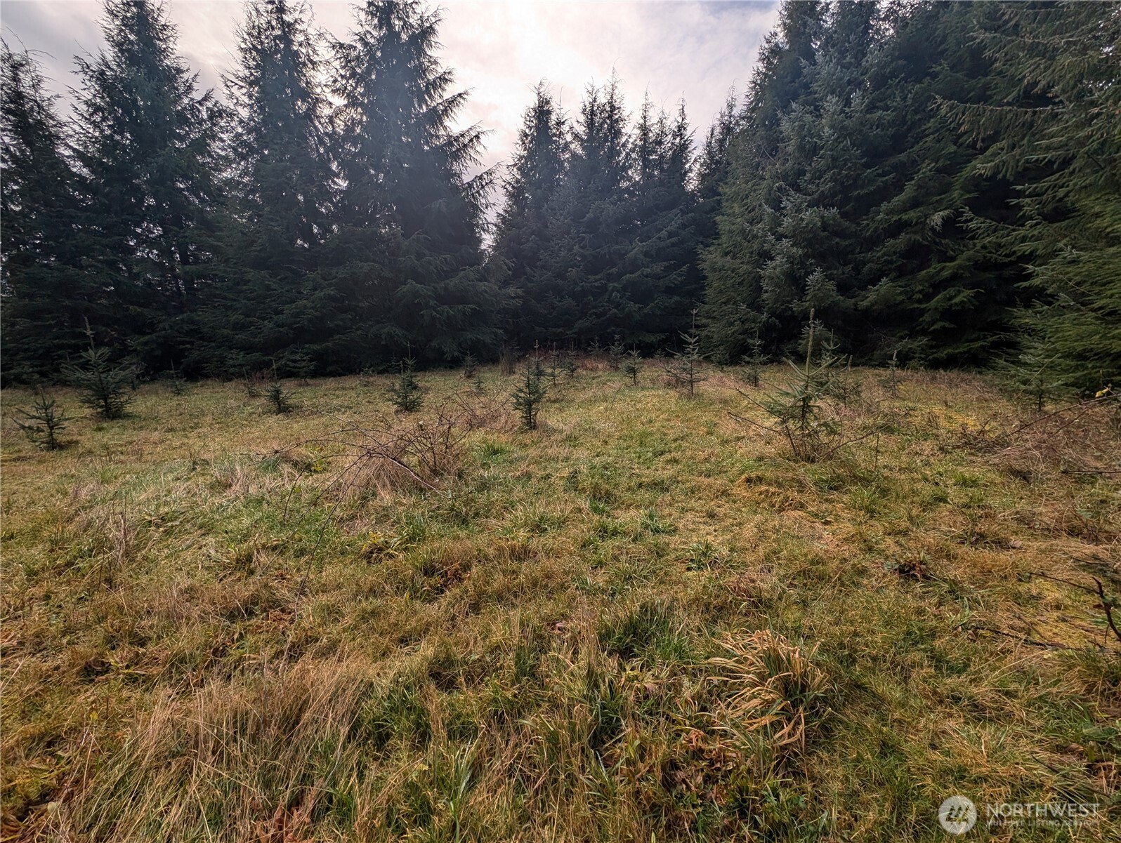 999 Green Road Forks, WA 98331 - Photo 24 of 40