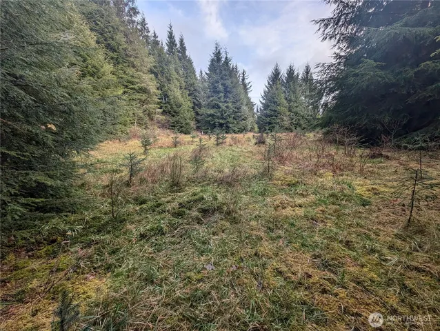 $265,000 | 999 Green Road, Forks, WA 98331