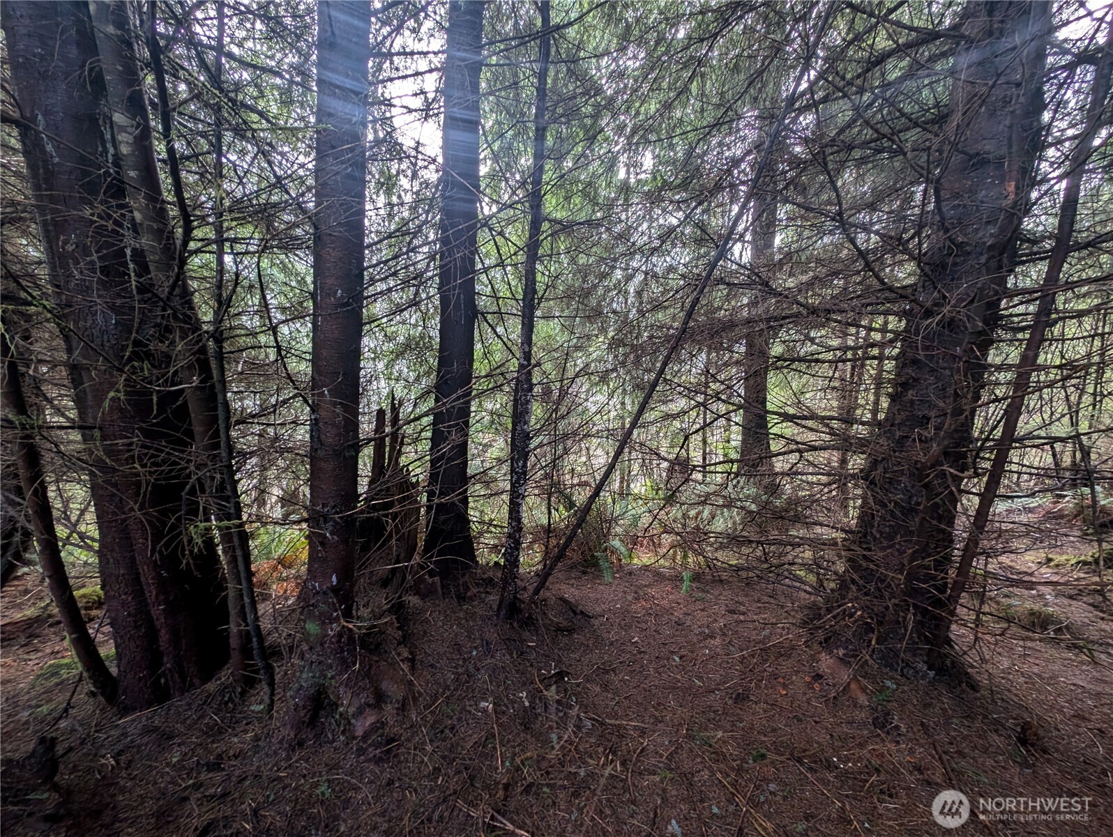 999 Green Road Forks, WA 98331 - Photo 26 of 40