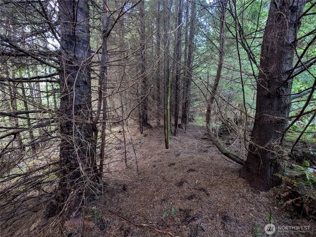 $265,000 | 999 Green Road, Forks, WA 98331