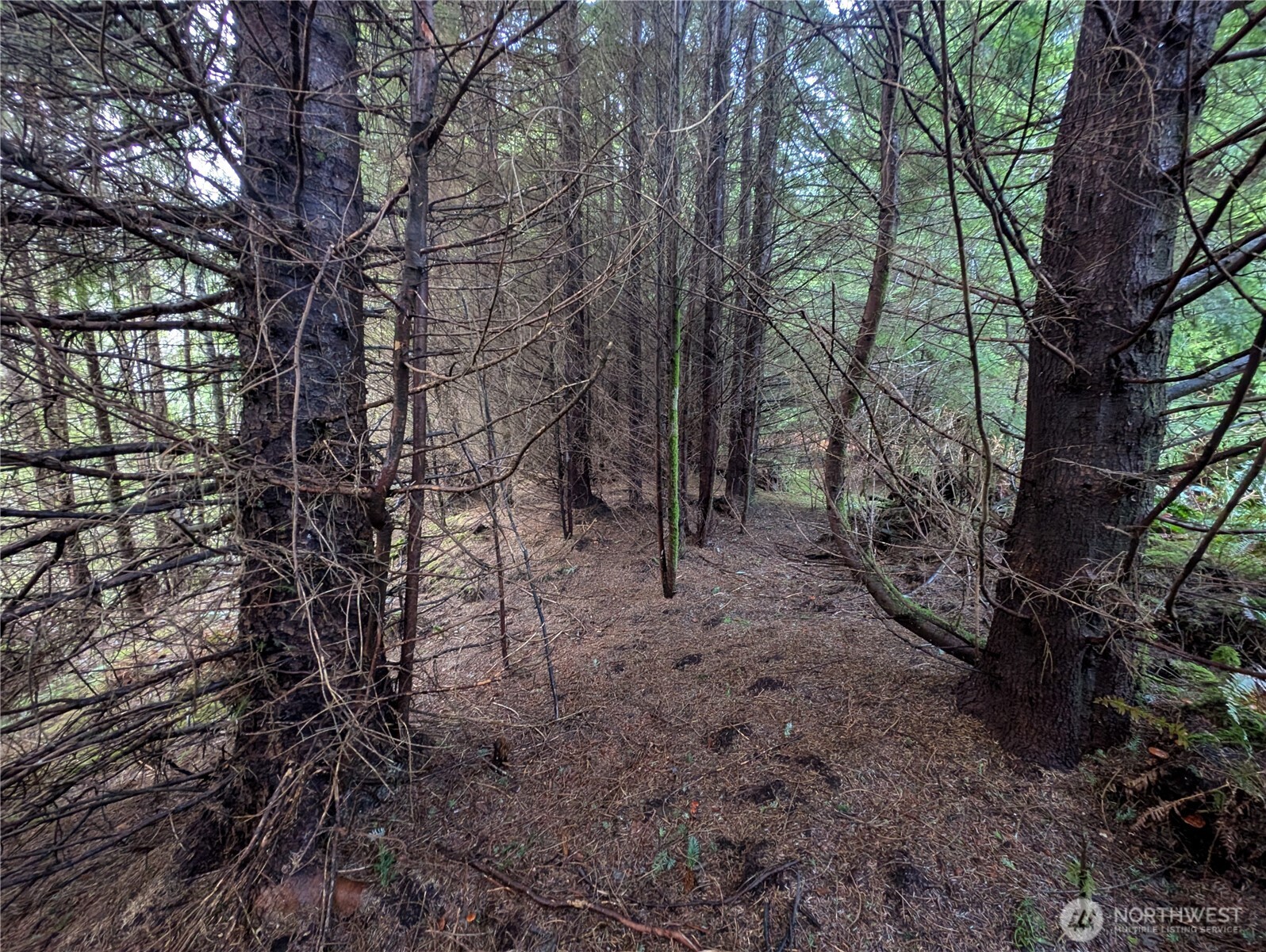 999 Green Road Forks, WA 98331 - Photo 27 of 40