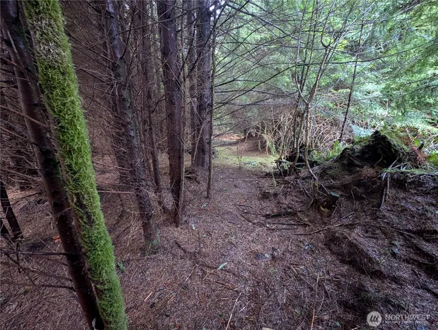 $265,000 | 999 Green Road, Forks, WA 98331