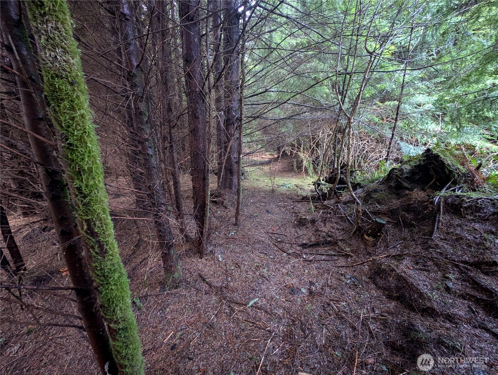 999 Green Road Forks, WA 98331 - Photo 28 of 40