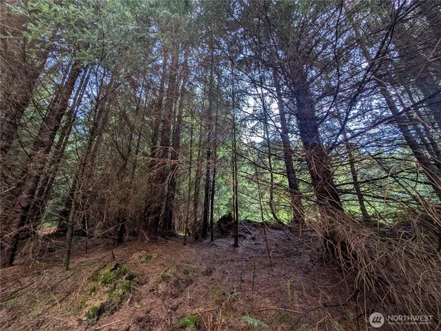 $265,000 | 999 Green Road, Forks, WA 98331