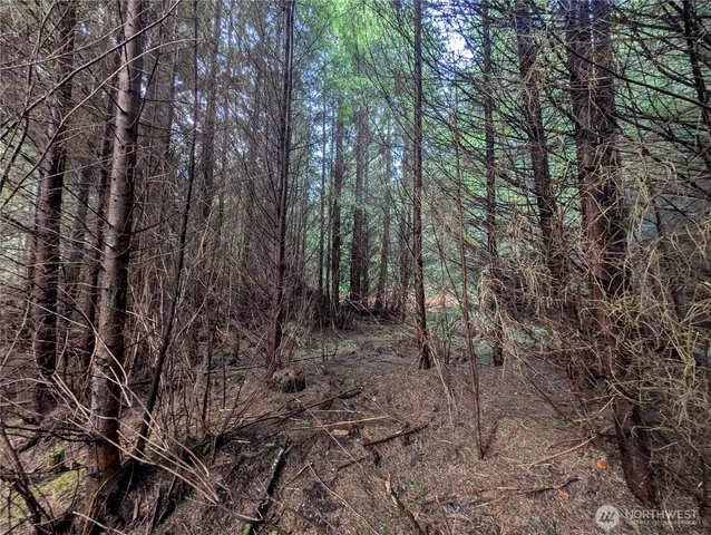 $265,000 | 999 Green Road, Forks, WA 98331