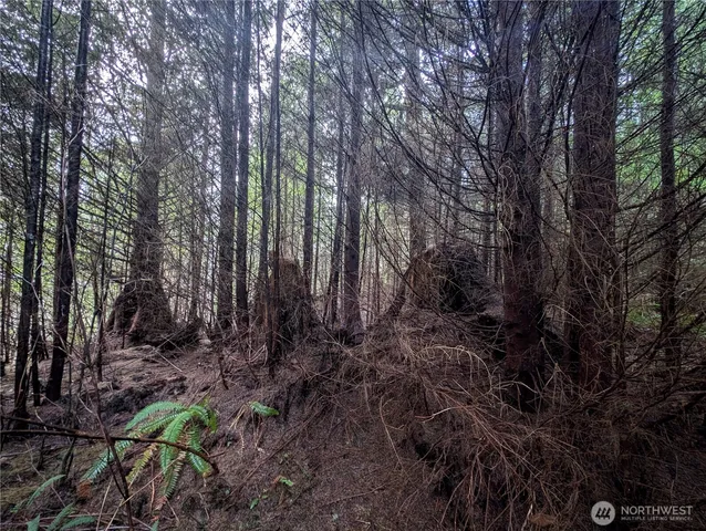 $265,000 | 999 Green Road, Forks, WA 98331