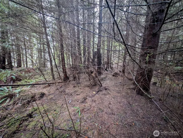 $265,000 | 999 Green Road, Forks, WA 98331