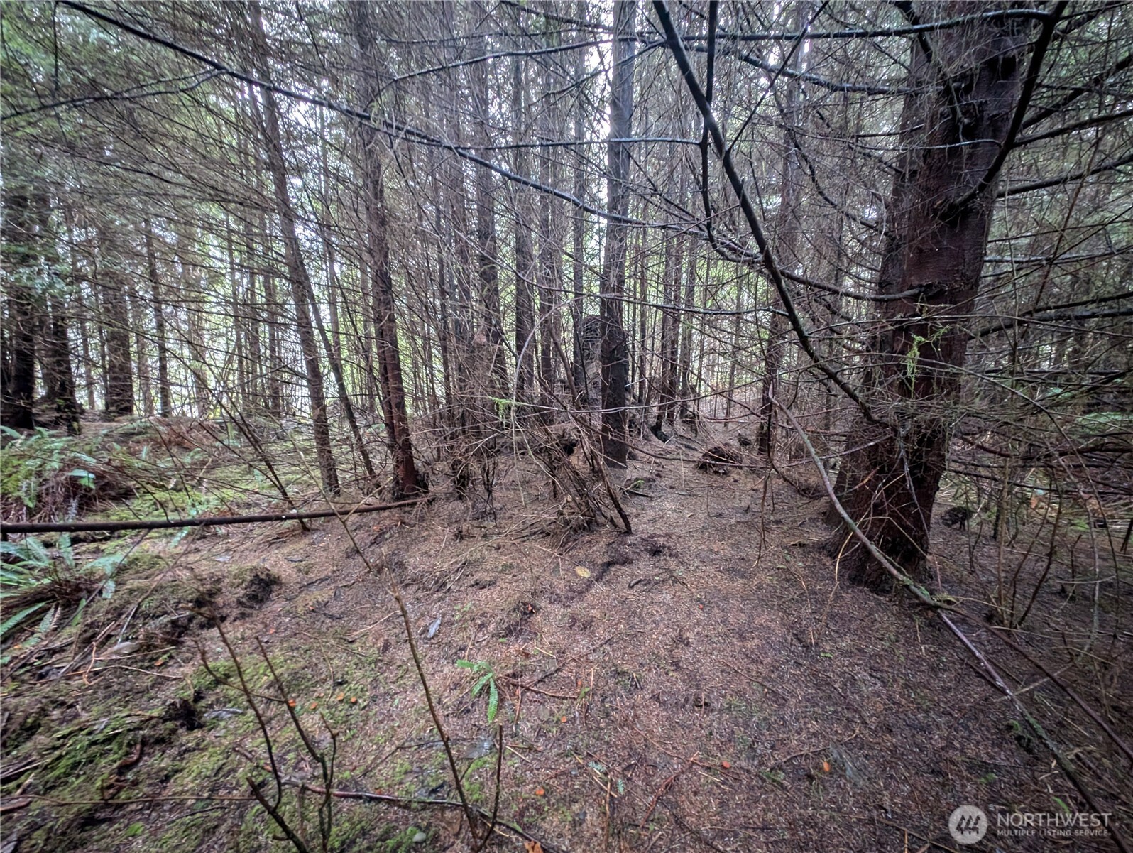 999 Green Road Forks, WA 98331 - Photo 32 of 40