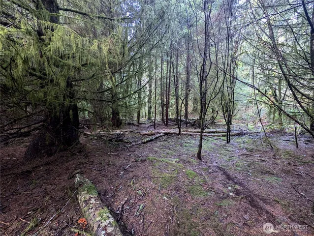 $265,000 | 999 Green Road, Forks, WA 98331