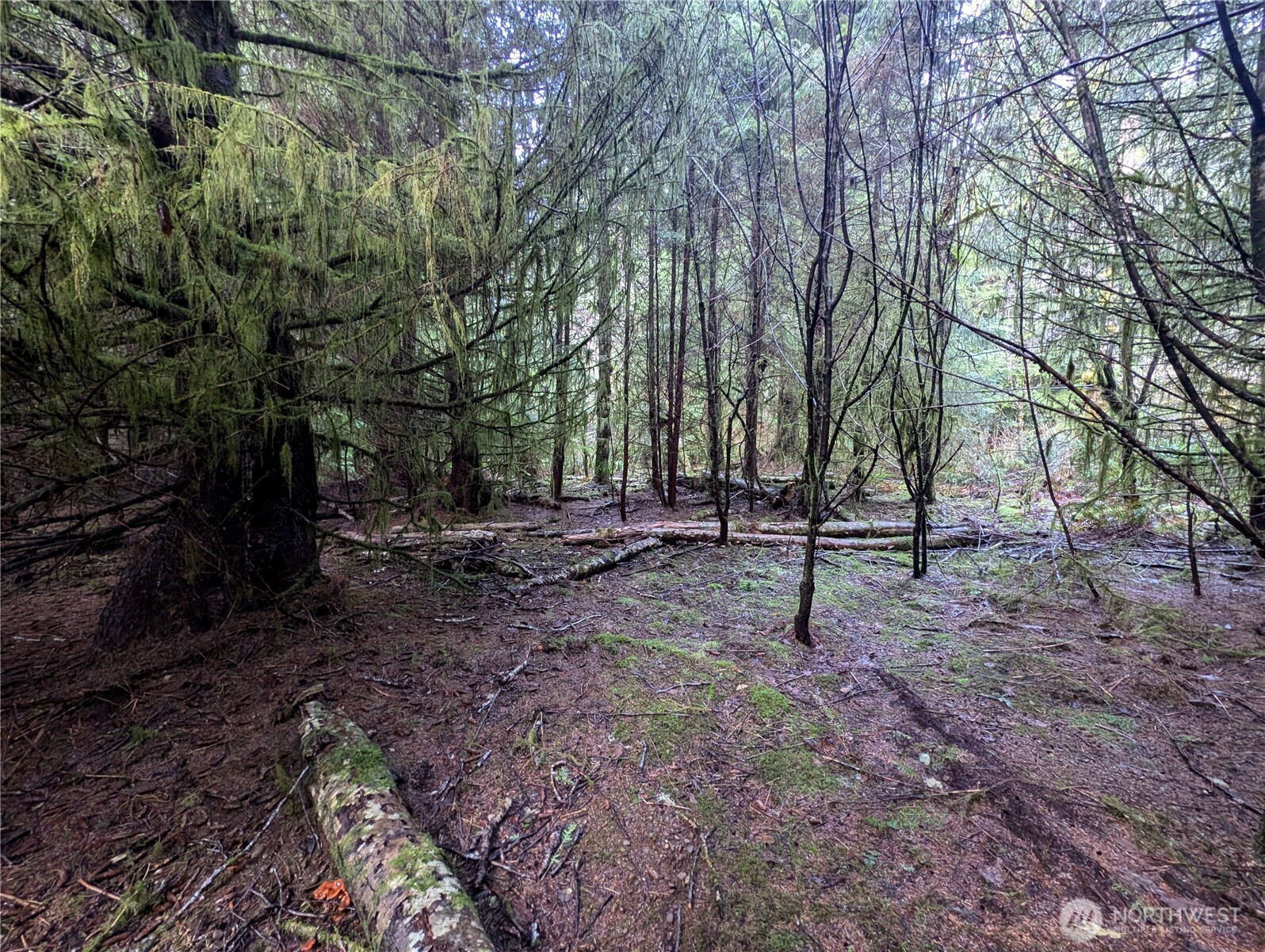 999 Green Road Forks, WA 98331 - Photo 33 of 40