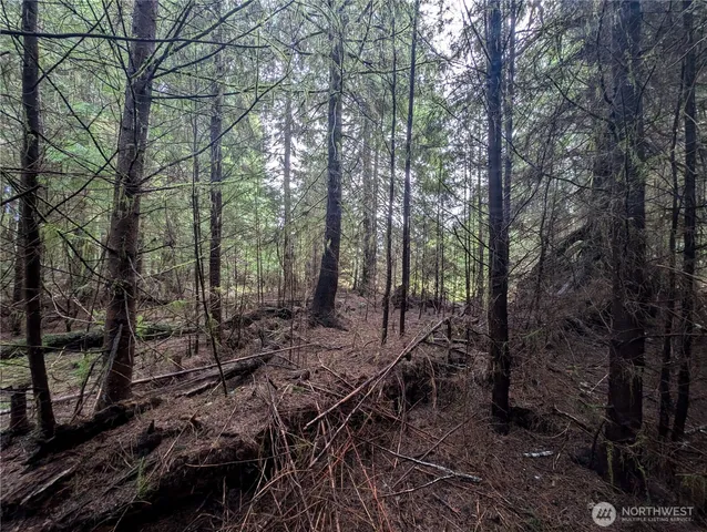 $265,000 | 999 Green Road, Forks, WA 98331