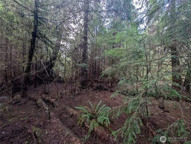 $265,000 | 999 Green Road, Forks, WA 98331