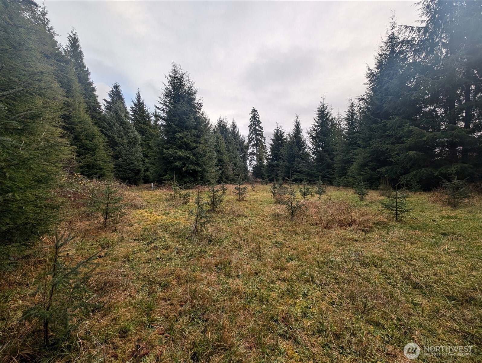 999 Green Road Forks, WA 98331 - Photo 36 of 40