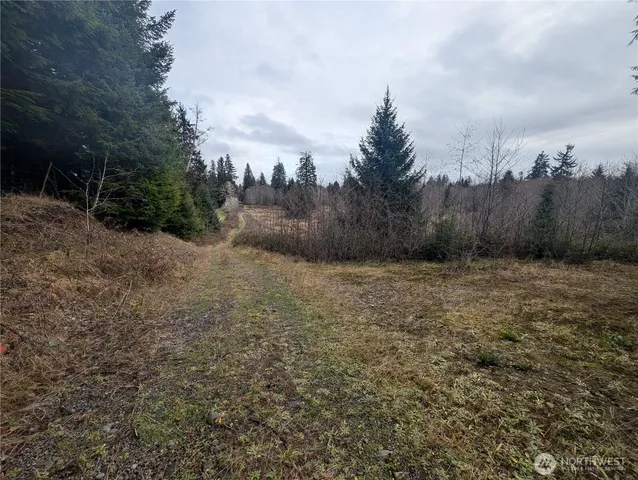 $265,000 | 999 Green Road, Forks, WA 98331