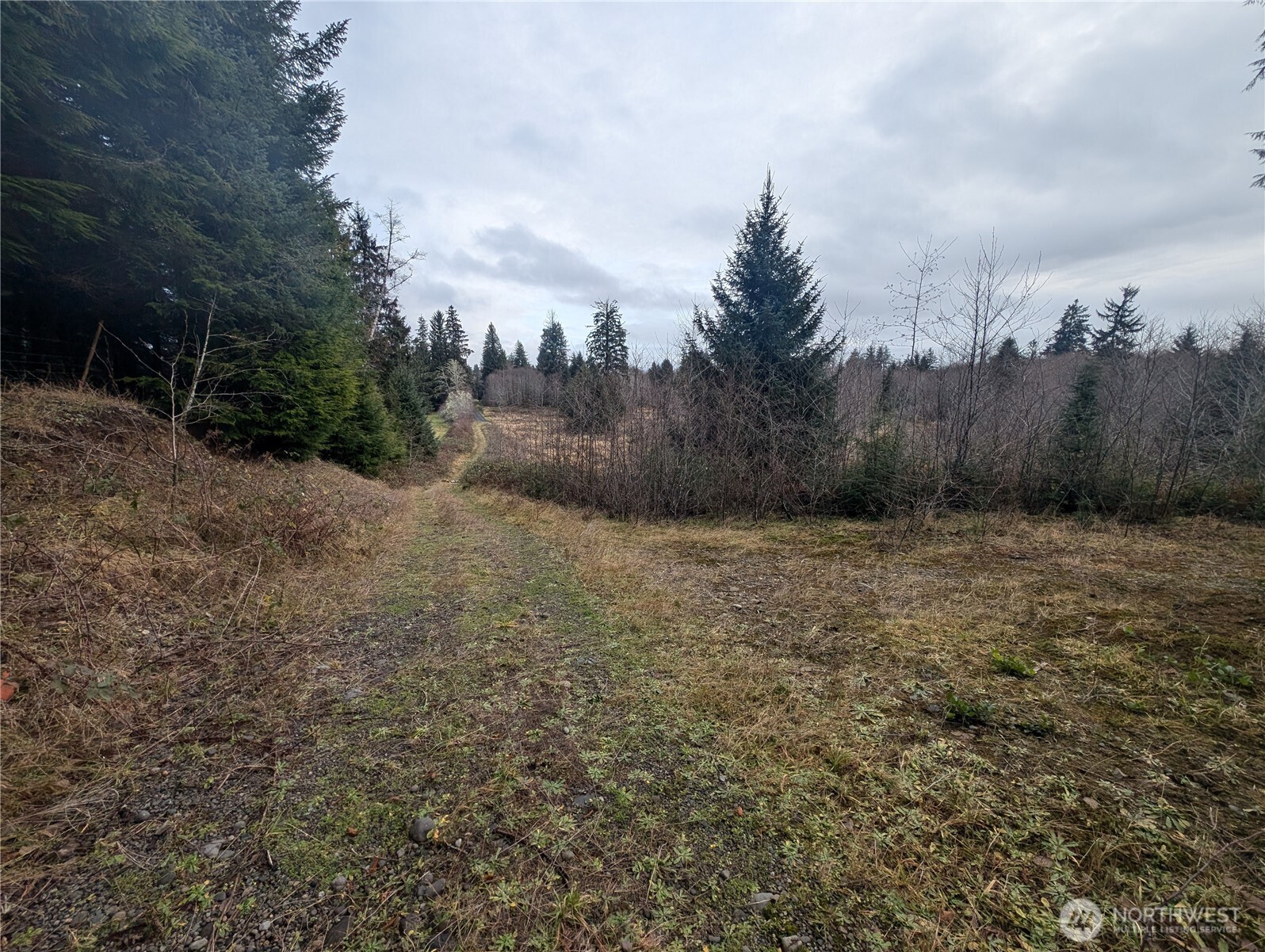 999 Green Road Forks, WA 98331 - Photo 37 of 40