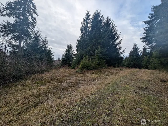 $265,000 | 999 Green Road, Forks, WA 98331
