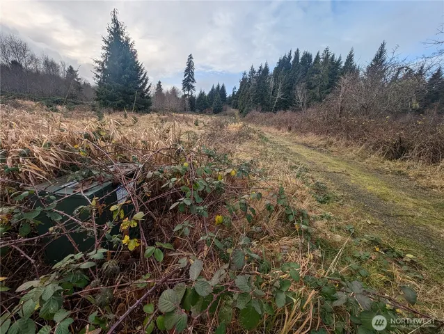 $265,000 | 999 Green Road, Forks, WA 98331