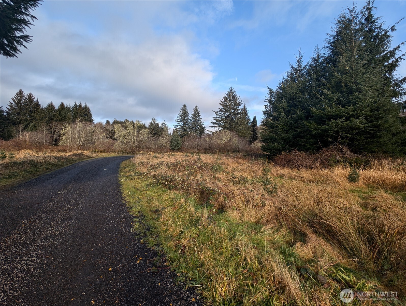 999 Green Road Forks, WA 98331 - Photo 5 of 40