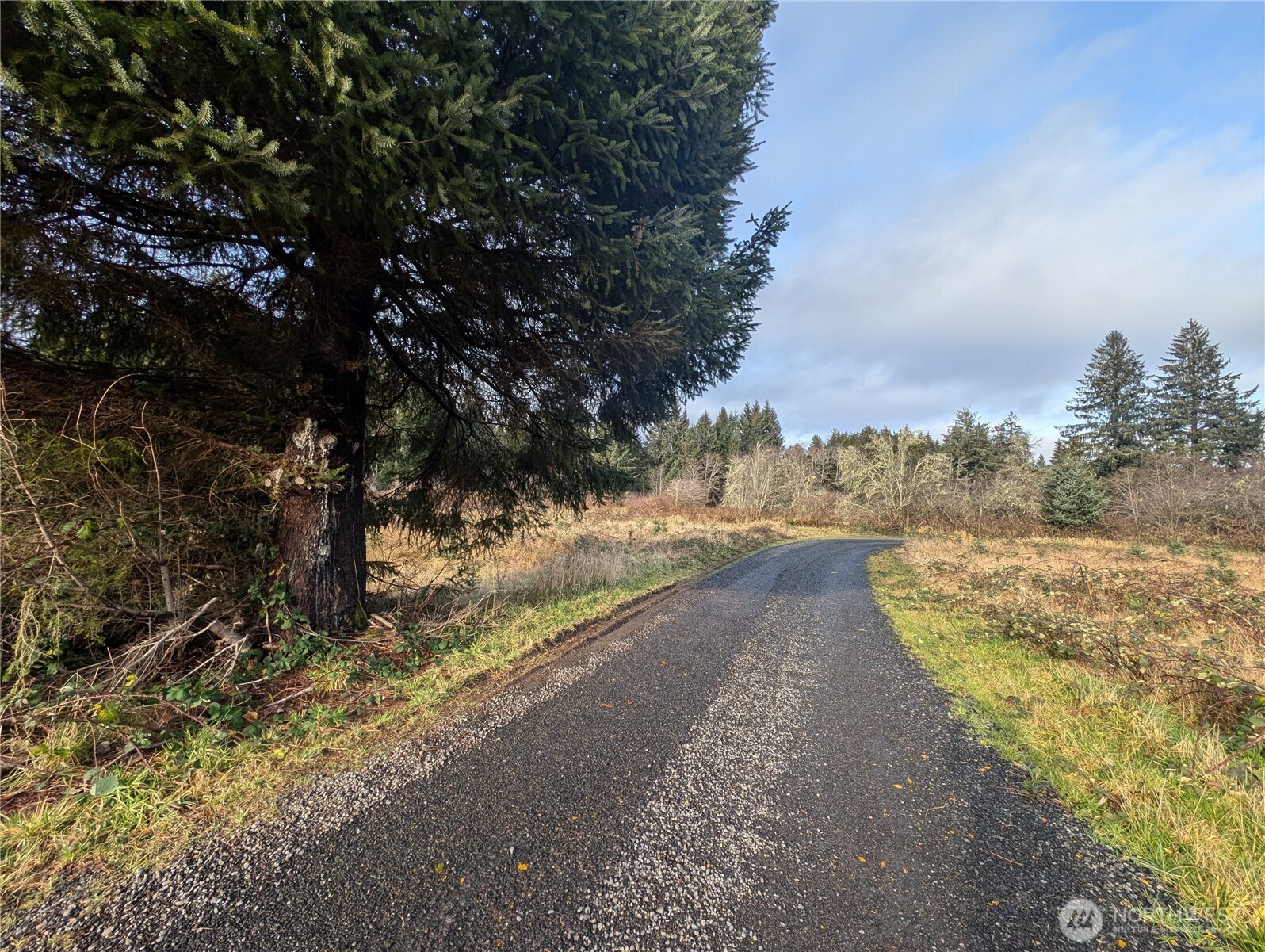 999 Green Road Forks, WA 98331 - Photo 6 of 40