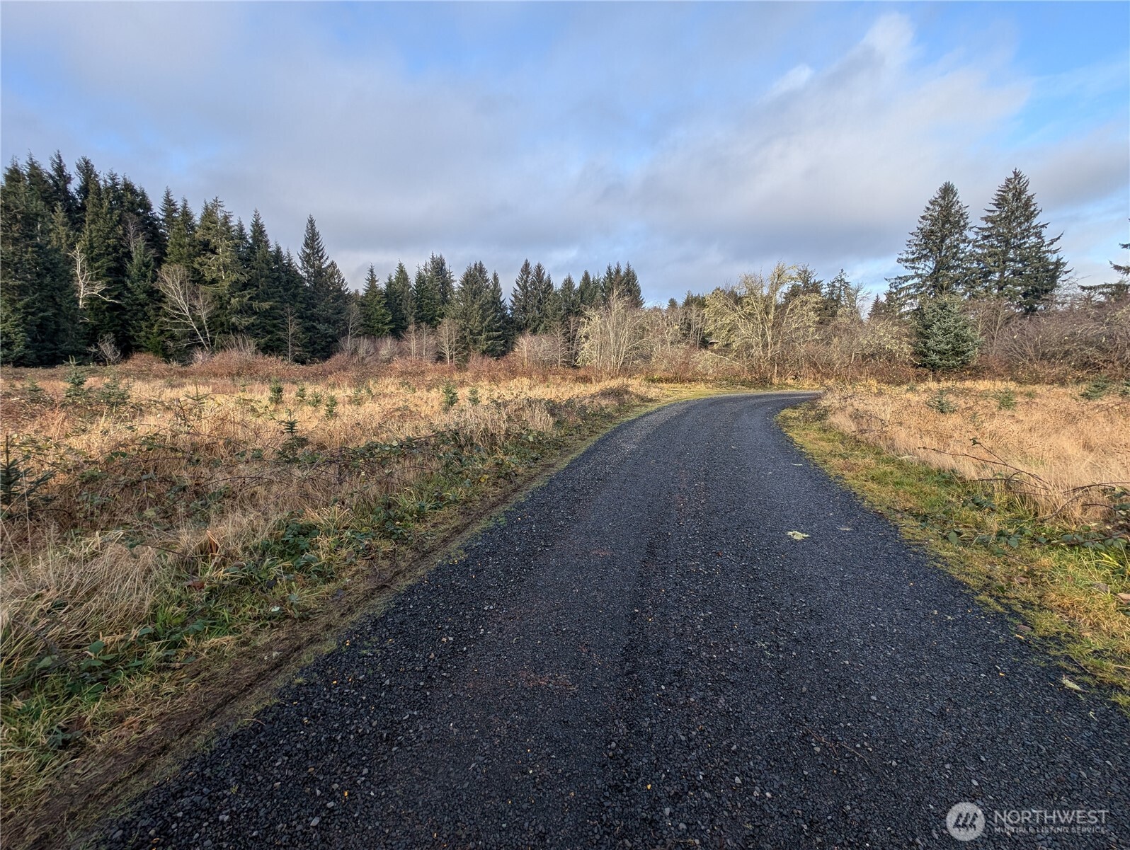 999 Green Road Forks, WA 98331 - Photo 7 of 40