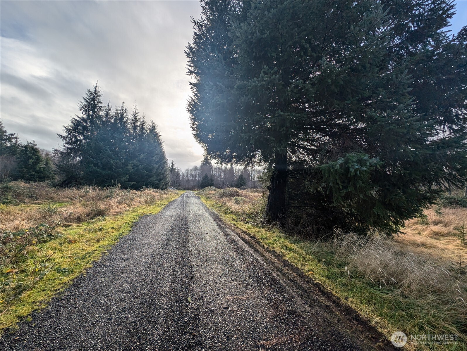 999 Green Road Forks, WA 98331 - Photo 8 of 40