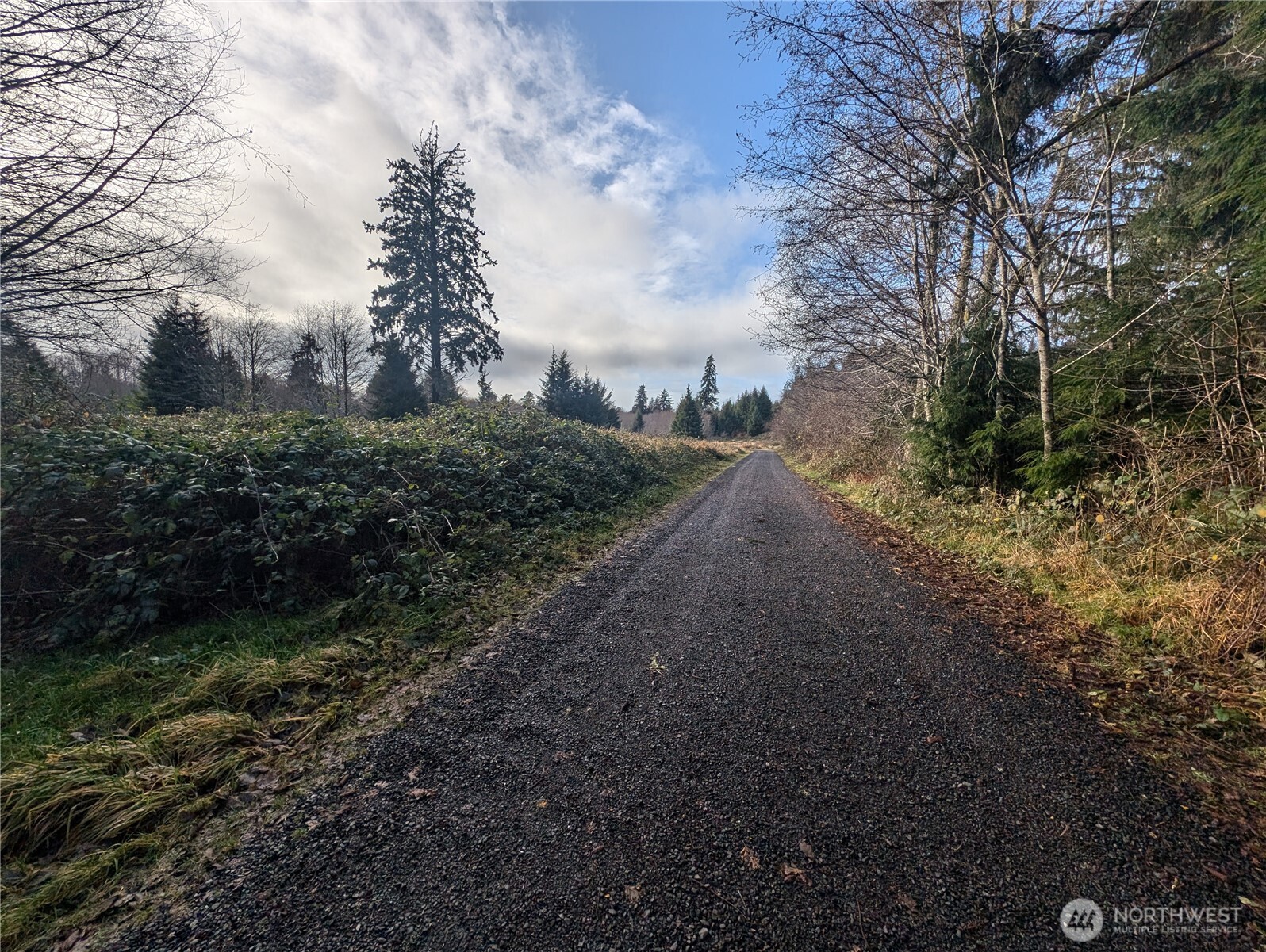 999 Green Road Forks, WA 98331 - Photo 10 of 40