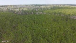 Tract#6418 Mattox Springs Road, Unit S3 Caryville, FL 32427 - Photo 4 of 4