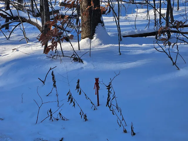 $25,000 | 75 Lovejoy Shores Drive, Fayette, ME 04349