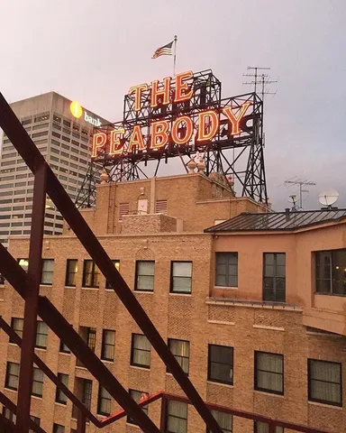 a view of a lake with a tree