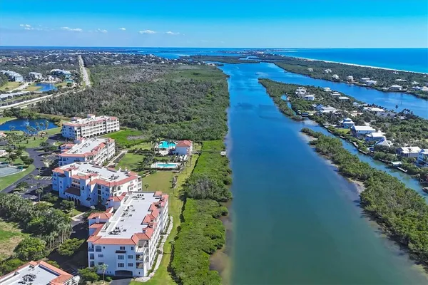 a view of a garden with palm trees