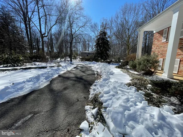a view of a yard with large trees
