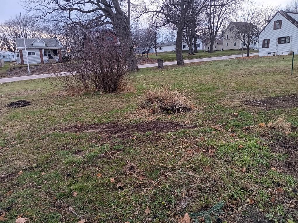 420 South Street Cashton, WI 54619 - Photo 3 of 16 Cashton yard