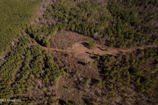 $1,195,000 | 70 Cr Woodland Ms 39776, Woodland, MS 39776