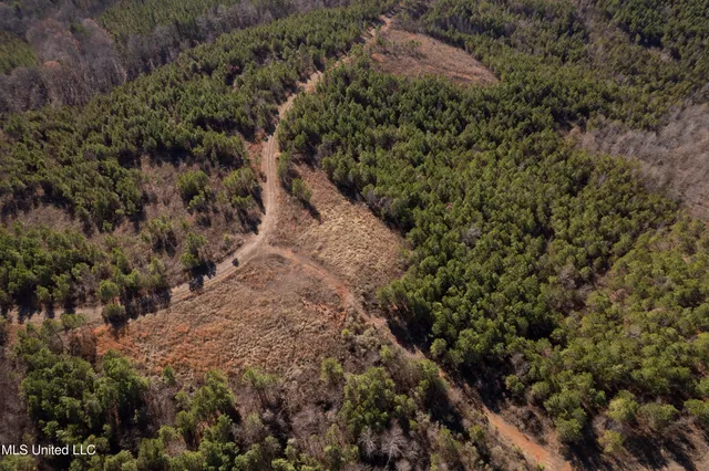 $1,195,000 | 70 Cr Woodland Ms 39776, Woodland, MS 39776