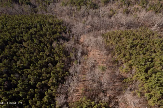 $1,195,000 | 70 Cr Woodland Ms 39776, Woodland, MS 39776