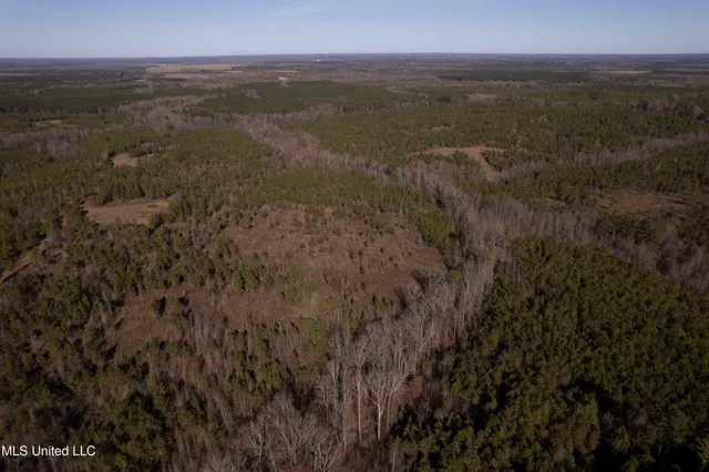 $1,195,000 | 70 Cr Woodland Ms 39776, Woodland, MS 39776