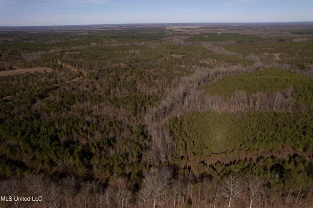 $1,195,000 | 70 Cr Woodland Ms 39776, Woodland, MS 39776