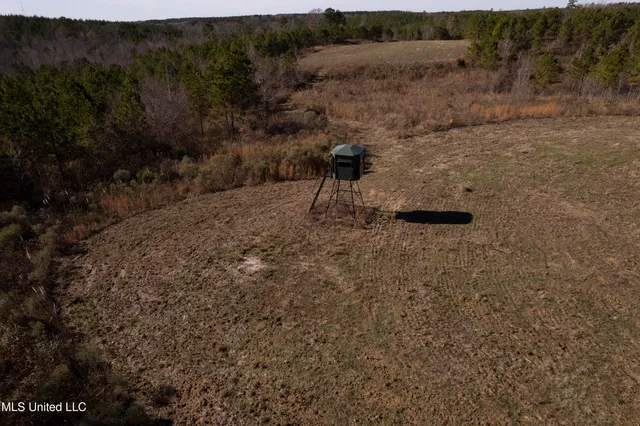 $1,195,000 | 70 Cr Woodland Ms 39776, Woodland, MS 39776