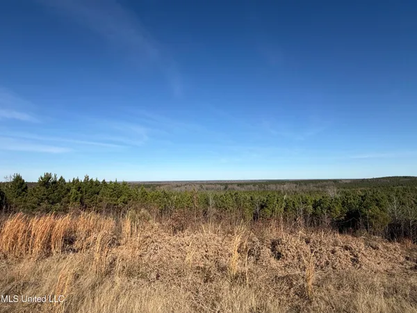 $1,075,000 | 70 Cr Woodland Ms 39776, Woodland, MS 39776