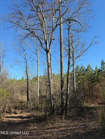 $1,075,000 | 70 Cr Woodland Ms 39776, Woodland, MS 39776
