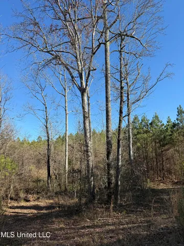 $1,195,000 | 70 Cr Woodland Ms 39776, Woodland, MS 39776