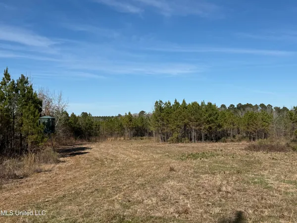 $1,075,000 | 70 Cr Woodland Ms 39776, Woodland, MS 39776