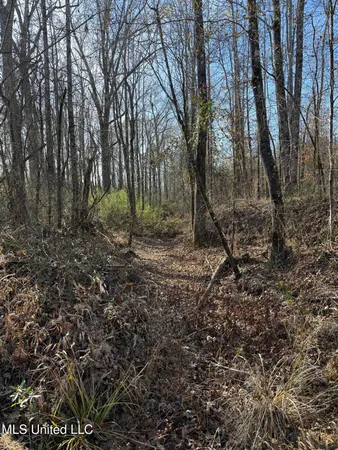 $1,075,000 | 70 Cr Woodland Ms 39776, Woodland, MS 39776