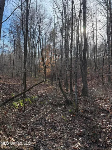 $1,195,000 | 70 Cr Woodland Ms 39776, Woodland, MS 39776