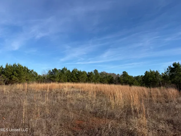 $1,075,000 | 70 Cr Woodland Ms 39776, Woodland, MS 39776
